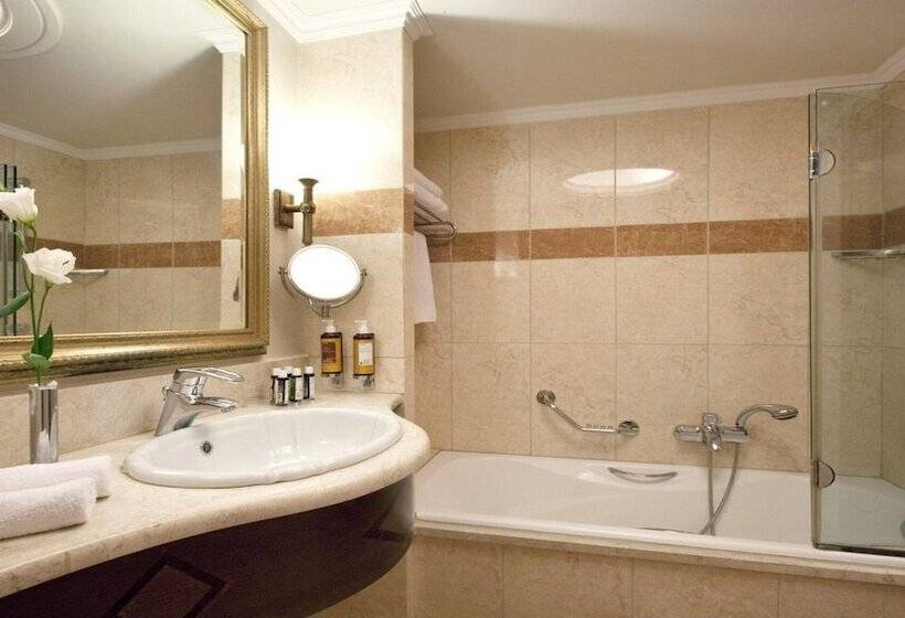 غرفة بريميوم مطلة على الحديقة, Electra Palace  Athens