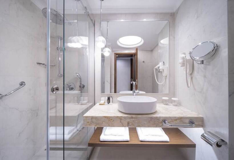 غرفة بريميوم مطلة على الحديقة, Electra Palace  Athens