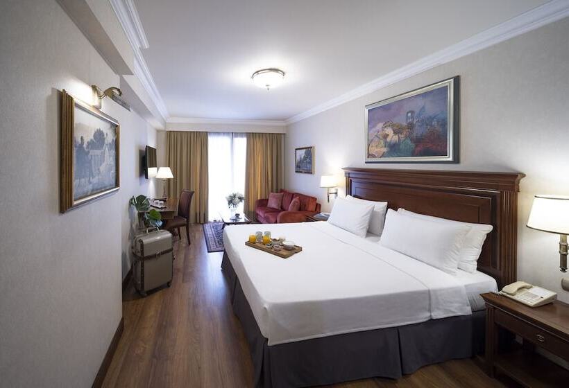 غرفة بريميوم مع إطلالات, Electra Palace  Athens