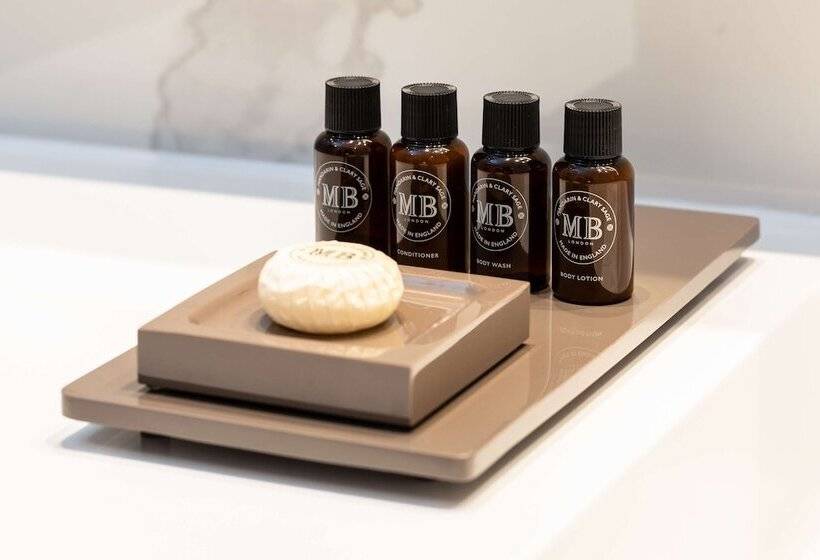 Delüks Oda, Holmes Hotel London