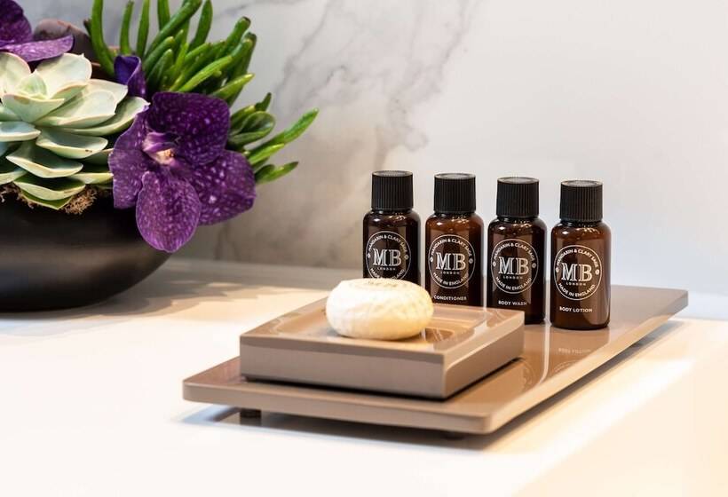 Büyük Çift Kişilik Yataklı Delüks Oda, Holmes Hotel London