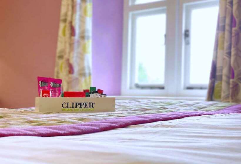 스탠다드 룸, The Corner House