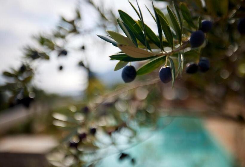 וילת 2 חדרי שינה נוף לים, Angsana Corfu Resort & Spa