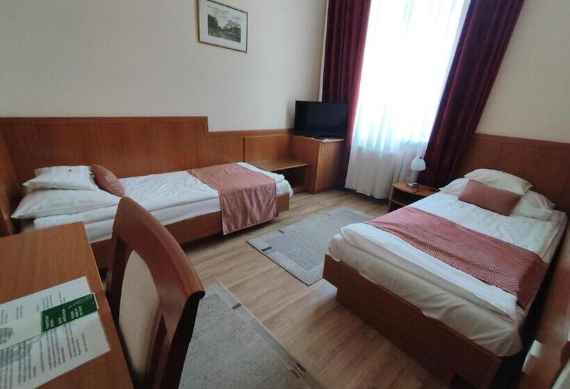 חדר סטנדרט, Pannonia