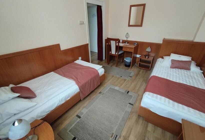 חדר סטנדרט, Pannonia