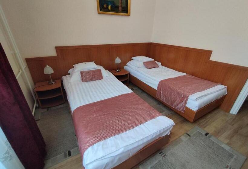 חדר סטנדרט, Pannonia