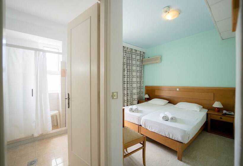 스탠다드 도시전망 룸, Summery