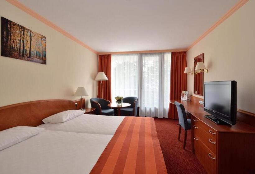 اتاق سوپریور, Ensana Thermal Sarvar