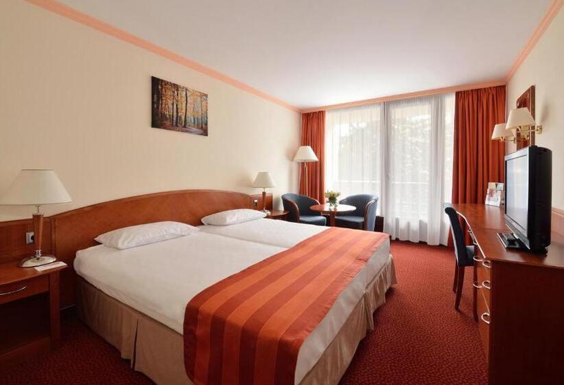 اتاق سوپریور, Ensana Thermal Sarvar