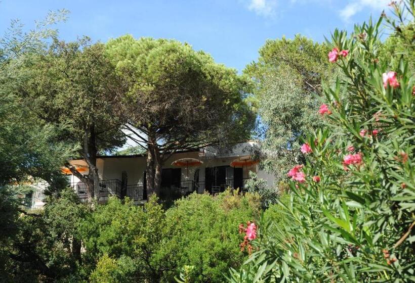 غرفة قياسية مطلّة علي البحر مزوَّدة بشُرفة, Antares