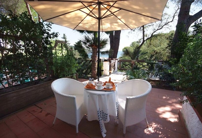 غرفة قياسية مطلّة علي البحر مزوَّدة بشُرفة, Antares