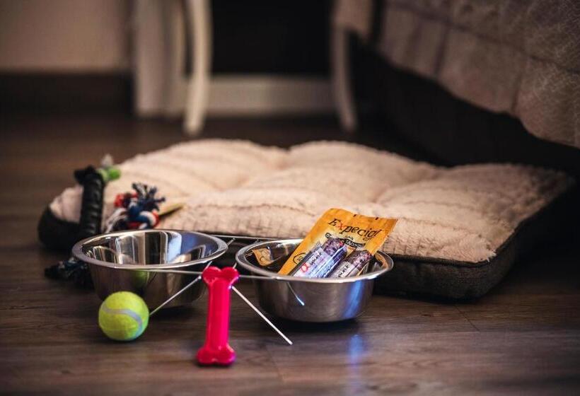 غرفة سوبيريور, Bonotto Hotel Belvedere