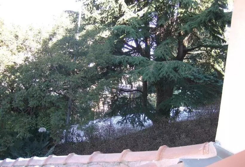 Standard Single Room, Canturio
