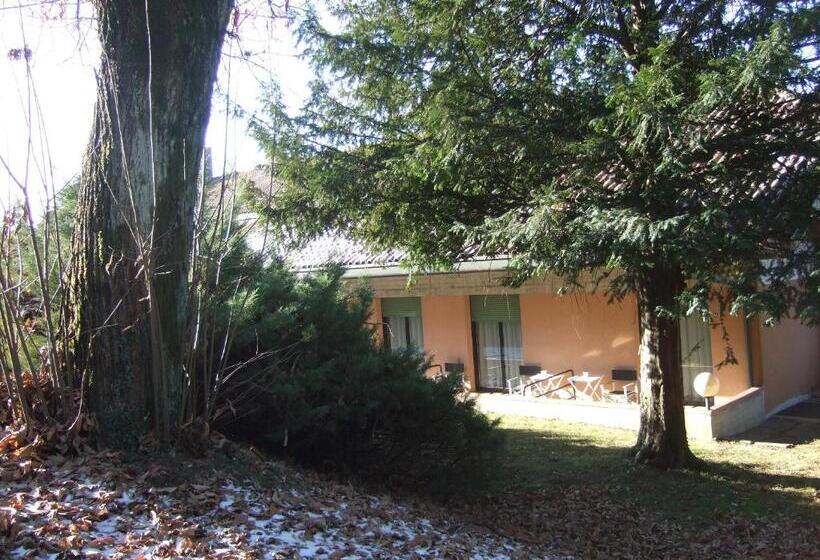 スタンダードルーム, Canturio