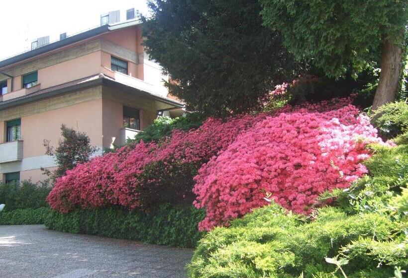 スタンダードルーム, Canturio