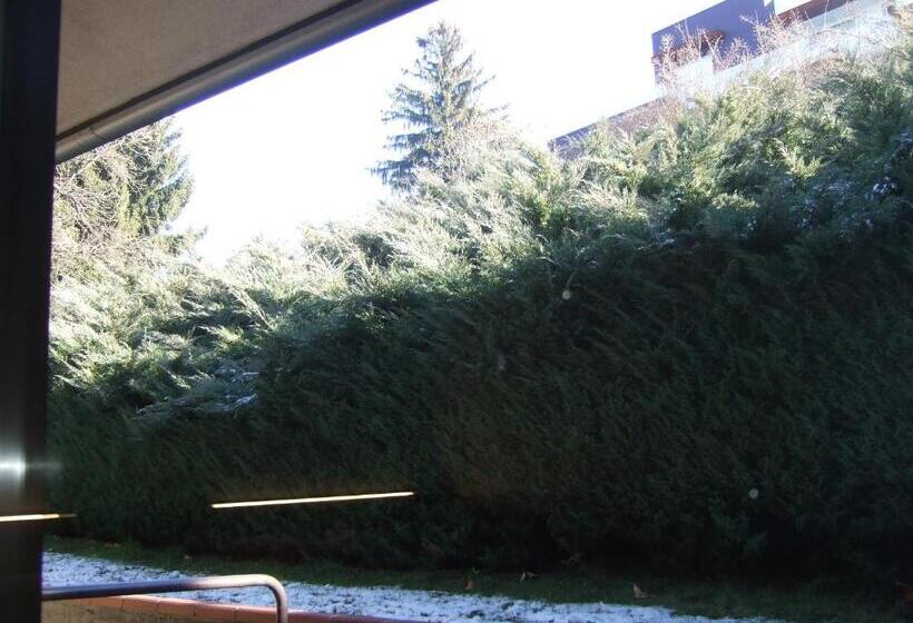 スタンダードルーム, Canturio