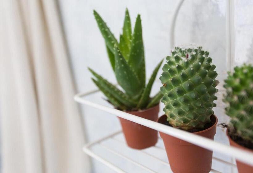 חדר משפחתי, Gianlore