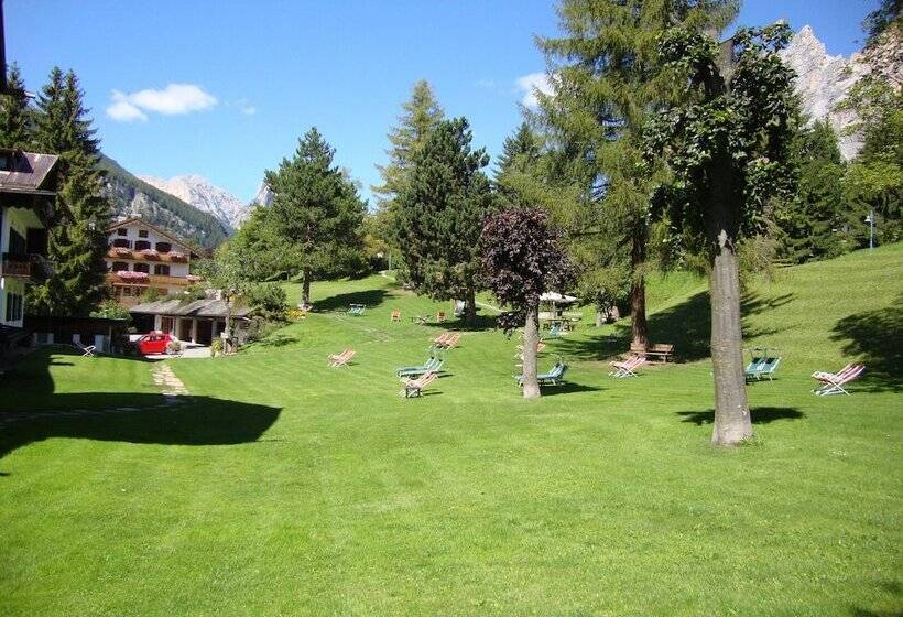 חדר אקונומי, Menardi