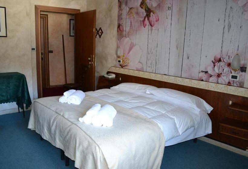 Номер Стандарт, Rosa Serenella