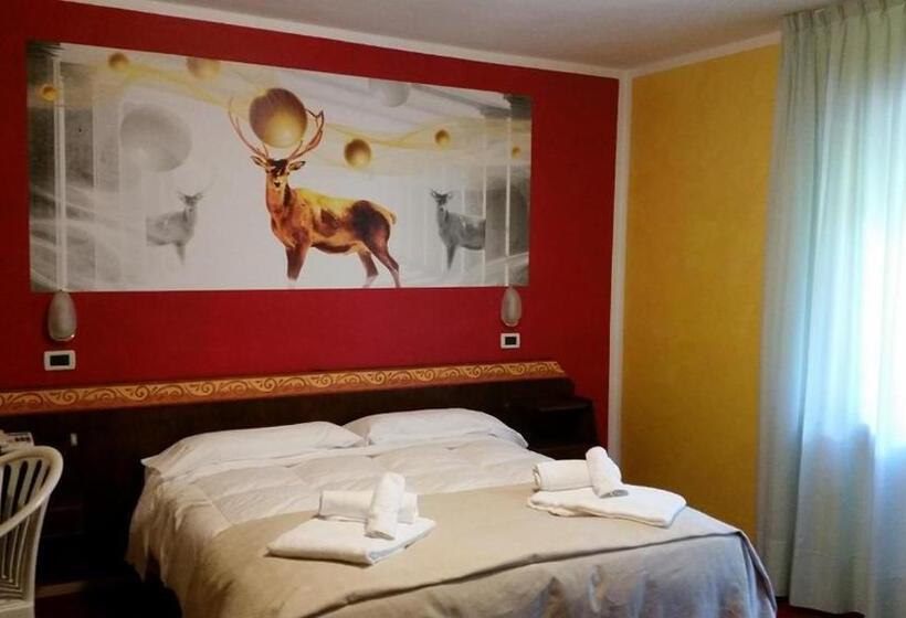 Номер Стандарт, Rosa Serenella