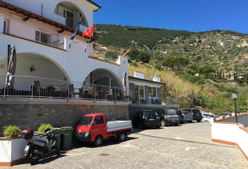 غرفة قياسية ثلاثية, Bahamas