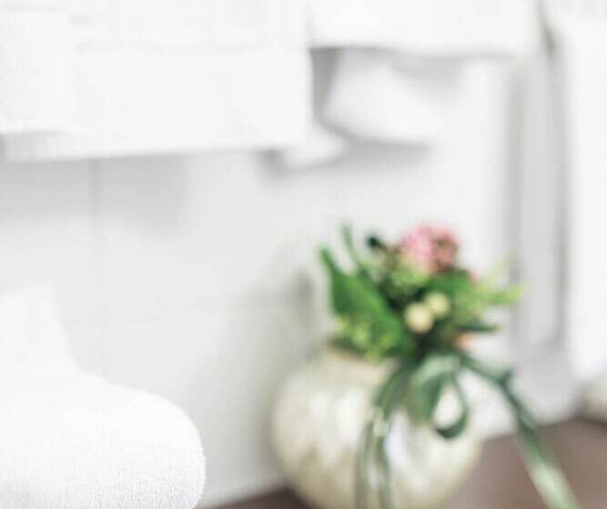 스탠다드 룸, Donatello Imola