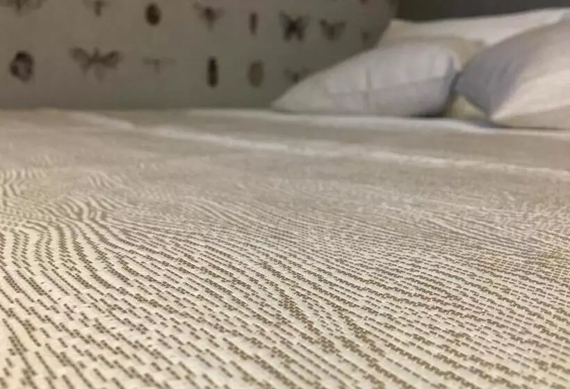 اتاق استاندارد, Maxxim Hotel & Loft