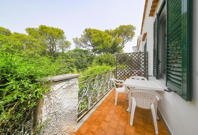 اتاق استاندارد, Pineta