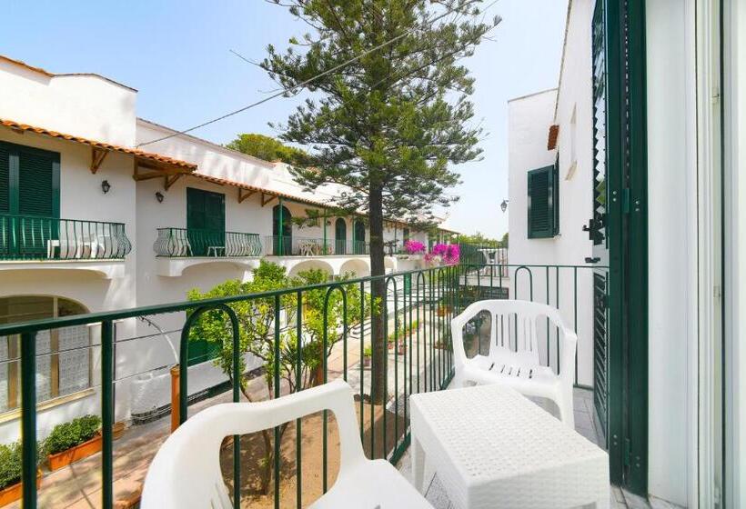 اتاق سوپریور, Pineta