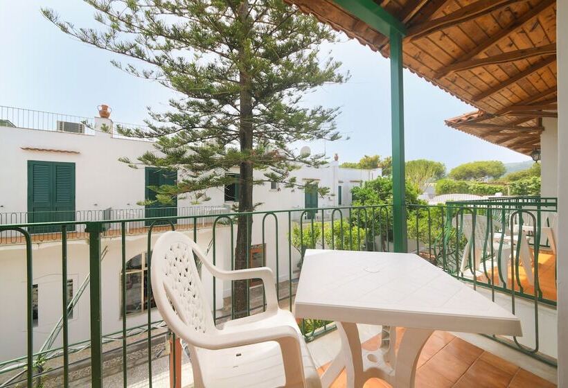 اتاق استاندارد, Pineta