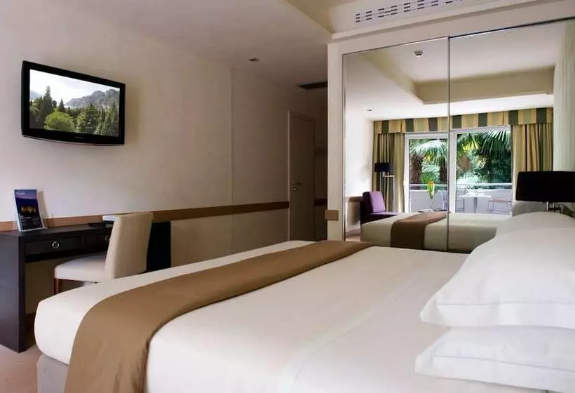 Standard-huone Puistonäkymä, Du Lac Et Du Parc Grand Resort
