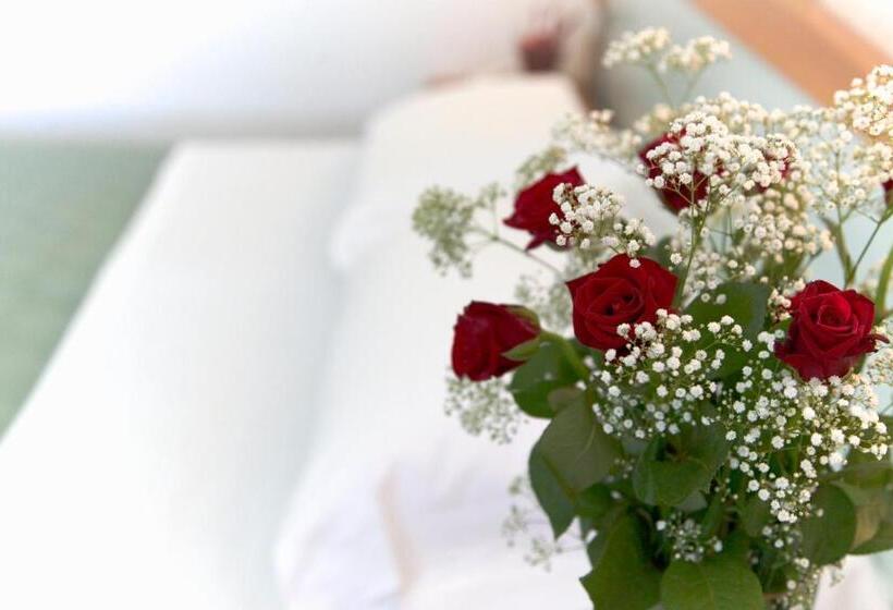 スタンダードシングルルーム, Giannino