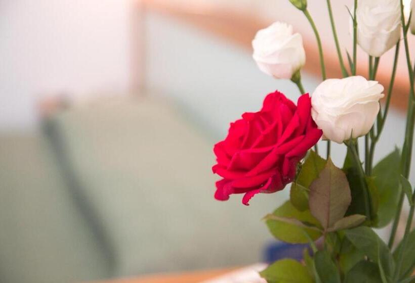 スタンダードルーム, Giannino