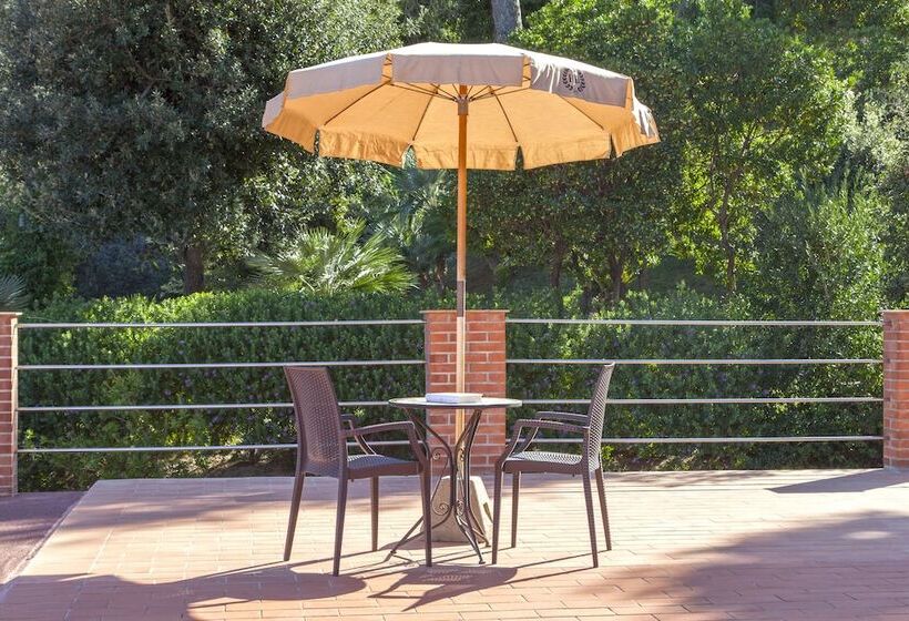 スタンダードルーム, Hermitage