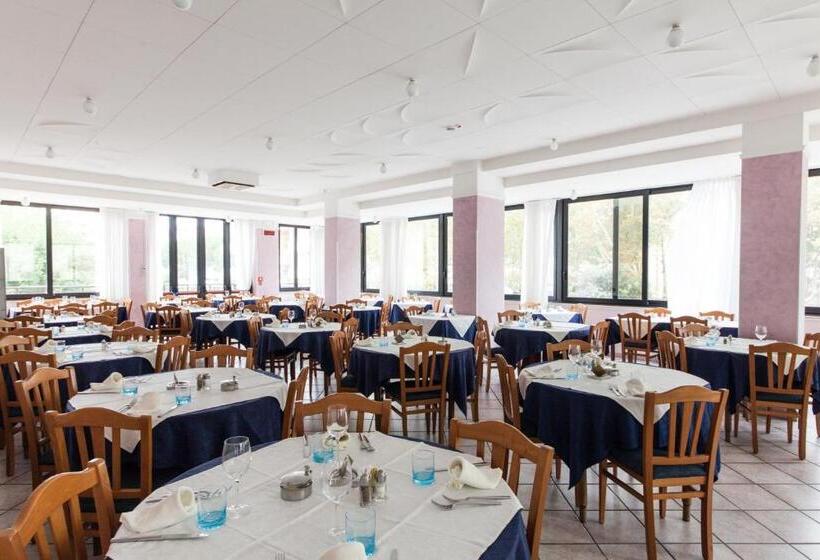 Номер Стандарт, Apollo