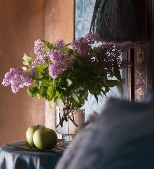 اتاق لوکس, Metropole Venezia