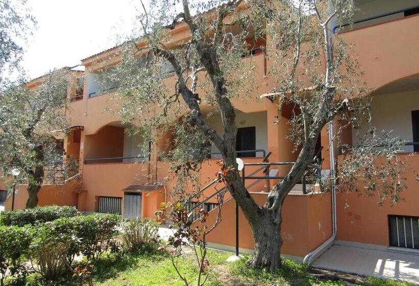 스탠다드 룸, Palme Gemelle