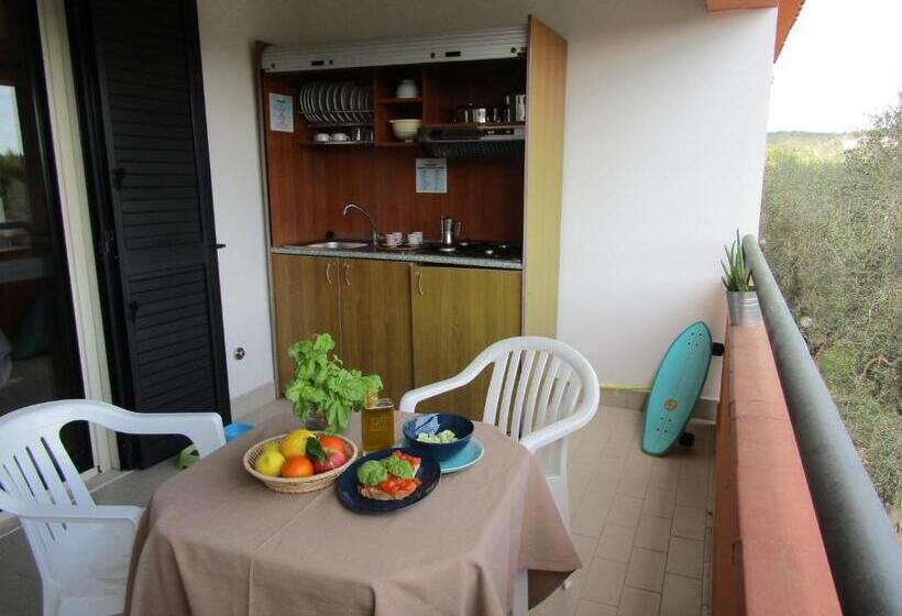 컴포트 룸, Palme Gemelle