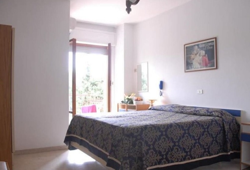 Номер Economy, President