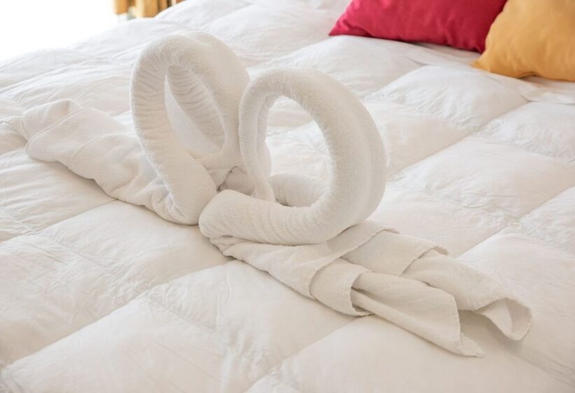 スタンダードルーム, Principe