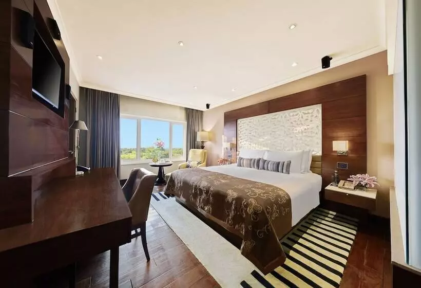 Club-sviitti, Taj Palace, New Delhi