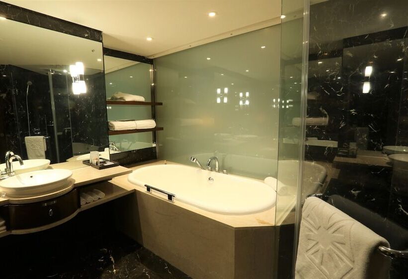 اتاق کلاب, Taj Palace, New Delhi