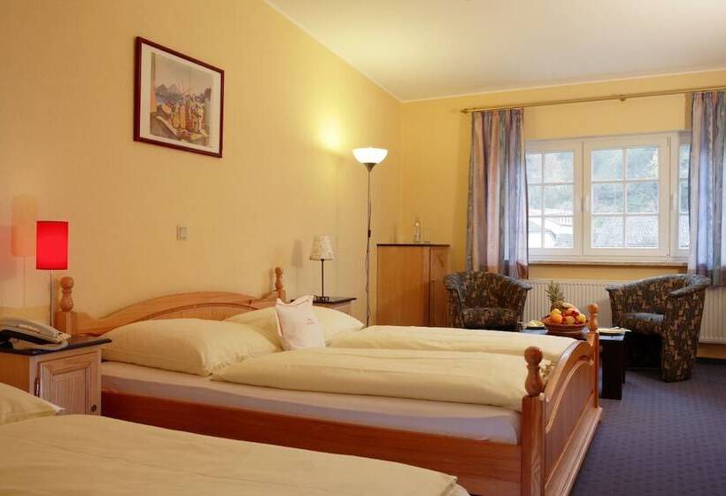 舒适型房间, Hôtel Restaurant Victor Hugo