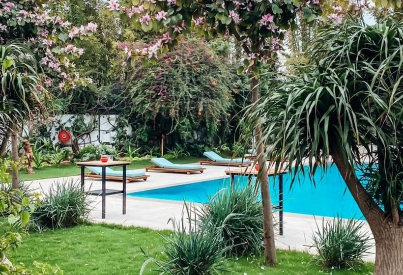 سوییت, Hyatt Regency Casablanca