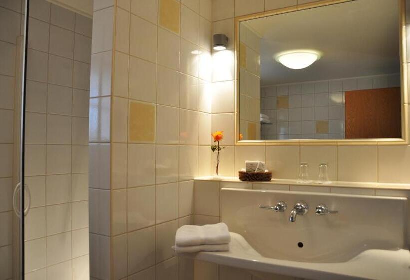 اتاق لوکس, Manoir Kasselslay