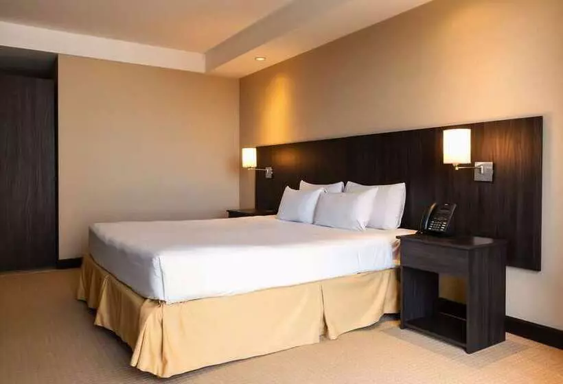 اتاق اجرایی با تخت بزرگ, Millennium Hilton Seoul