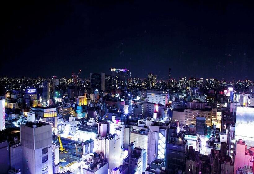 غرفة ديلوكس, Shinjuku Prince