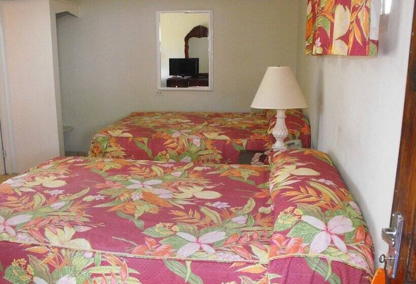 Üç Kişilik Standart Oda, Verney House Resort