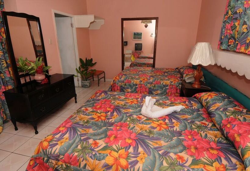 Üç Kişilik Standart Oda, Verney House Resort