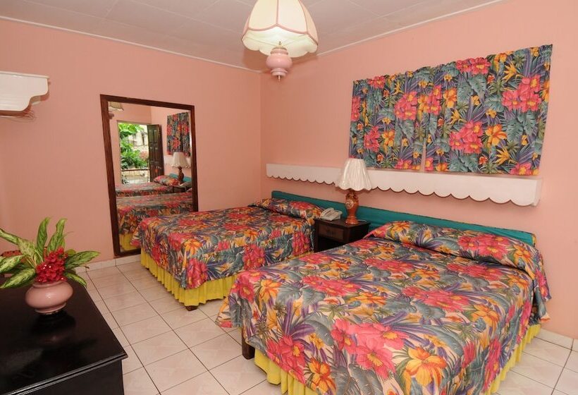 Üç Kişilik Standart Oda, Verney House Resort